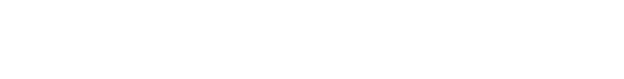 skinbid
